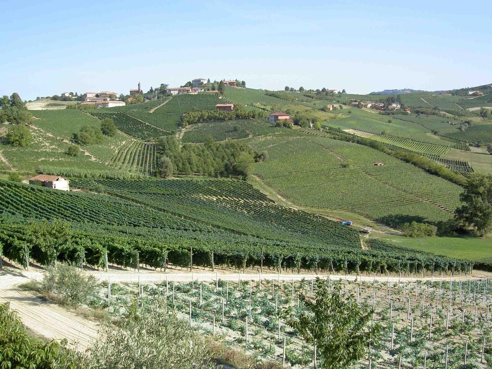 Agriturismo Vecchio Torchio كانيلي المظهر الخارجي الصورة