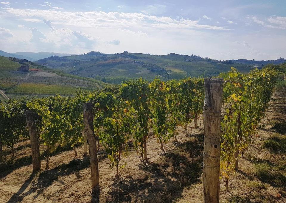 Agriturismo Vecchio Torchio كانيلي المظهر الخارجي الصورة
