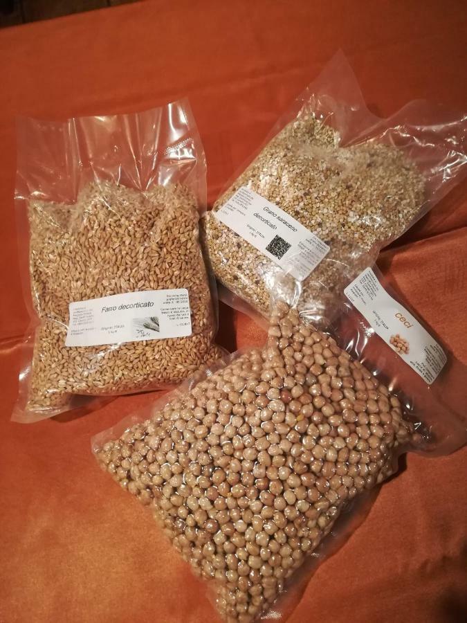 Agriturismo Vecchio Torchio كانيلي المظهر الخارجي الصورة